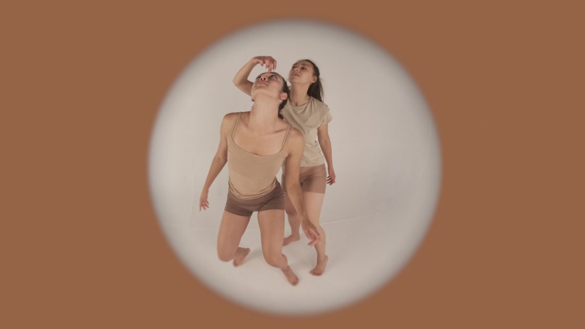 Image from Compensare: For the Swallows We Weigh of two females