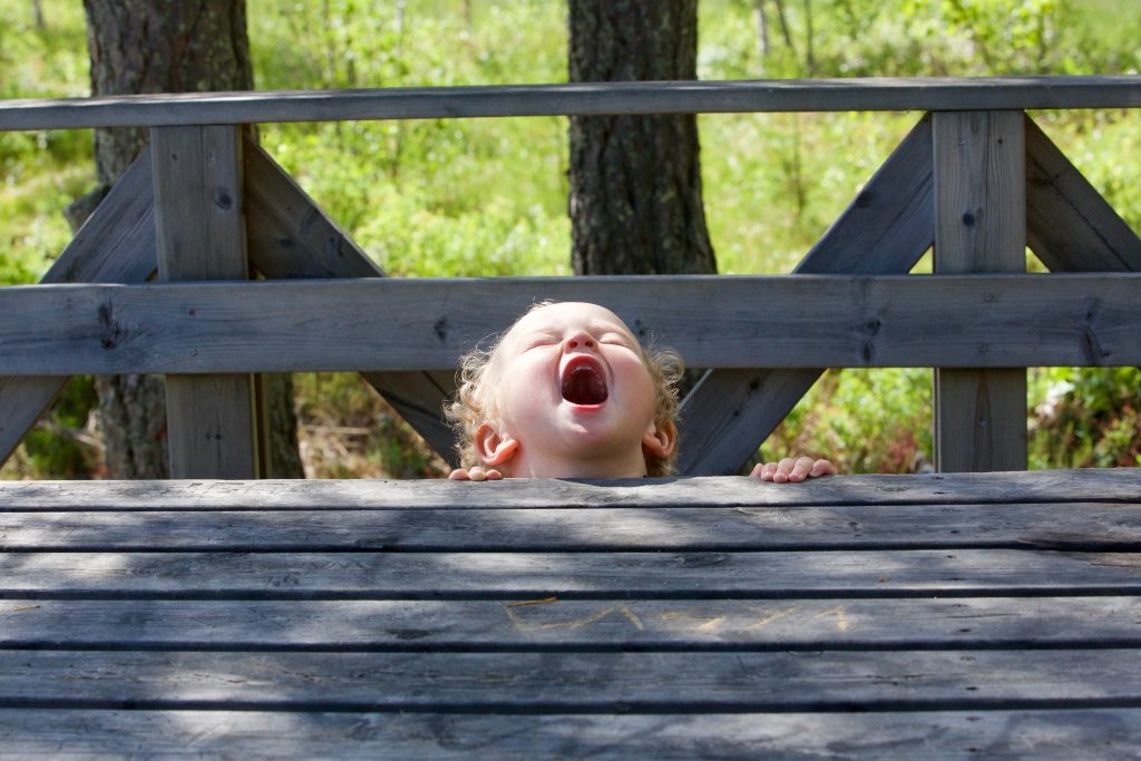 A white toddler with fair hair standing behind an outdoor table with their face looking at the sky screaming