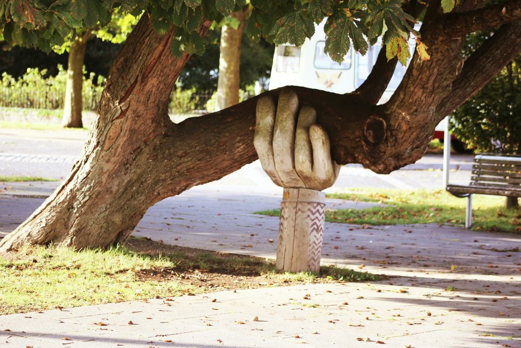 A wooden hand holding up the branch of a tree